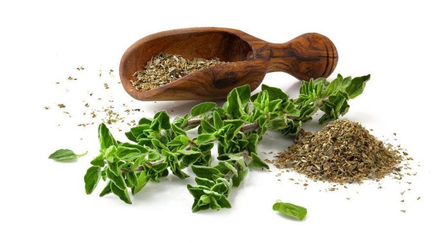 Kekiğin içinde hangi vitamin ve mineraller var? Kekiğin faydaları nelerdir, neye iyi gelir? Kekiğin içinde hangi vitamin ve mineraller var? Kekiğin faydaları nelerdir, neye iyi gelir?