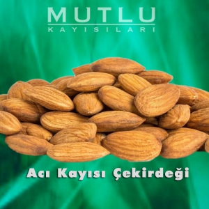 Acı Kayısı Çekirdeği