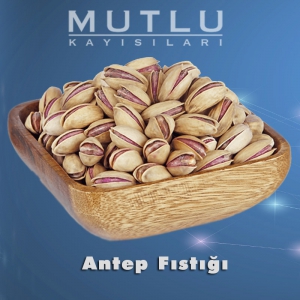 Antep Fıstığı