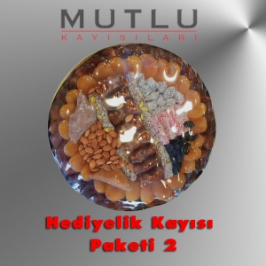 Hediyelik Kayısı Paketi 02