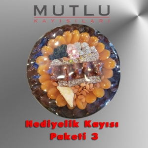 Hediyelik Kayısı Paketi 03