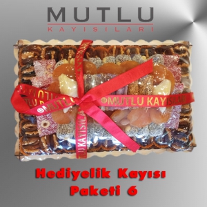 Hediyelik Kayısı Paketi 06