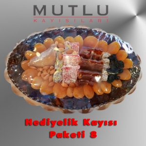 Hediyelik Kayısı Paketi 08