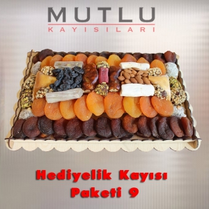 Hediyelik Kayısı Paketi 09