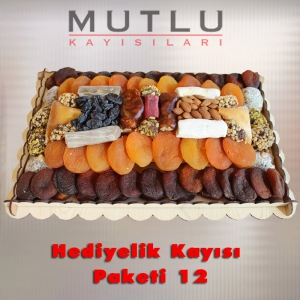 Hediyelik Kayısı Paketi 12
