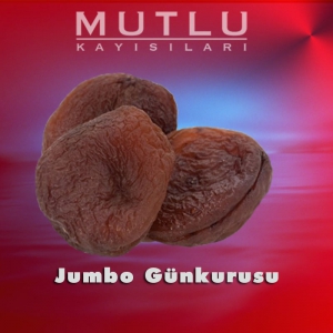 Jumbo Günkurusu