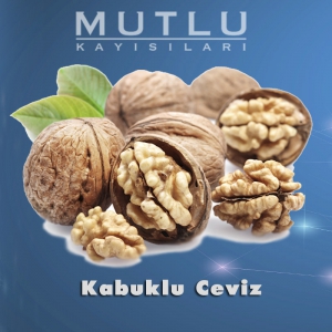 Kabuklu Ceviz