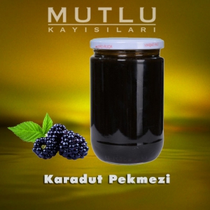 Karadut Pekmezi