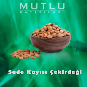 Sade Kayısı Çekirdeği