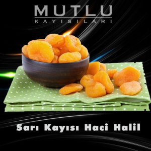 Sarı Kayısı Haci Halil