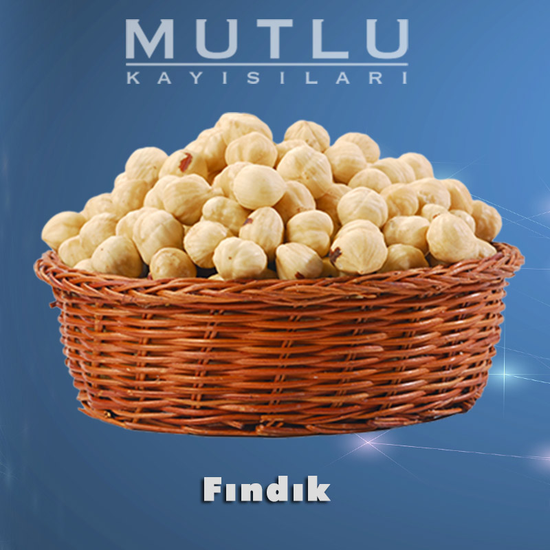 Fındık Fındık