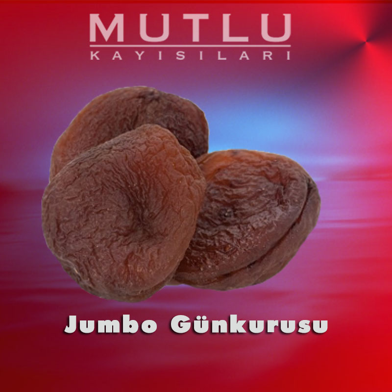 Jumbo Günkurusu Jumbo Günkurusu