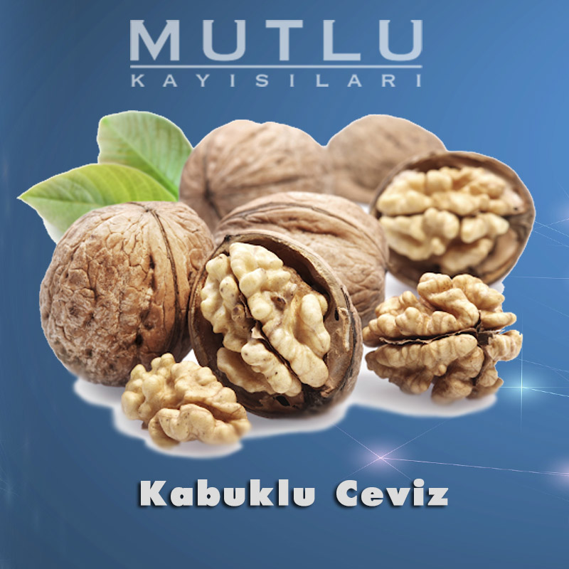 Kabuklu Ceviz