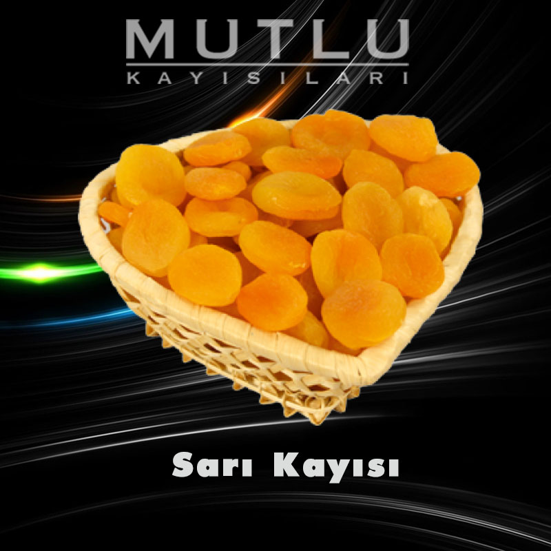 Sarı Kayısı Sarı Kayısı
