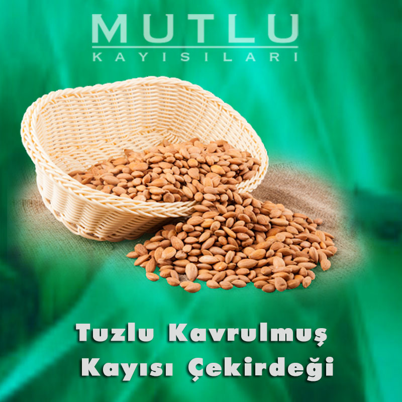 Tuzlu Kavrulmuş Kayısı Çekirdeği Tuzlu Kavrulmuş Kayısı Çekirdeği