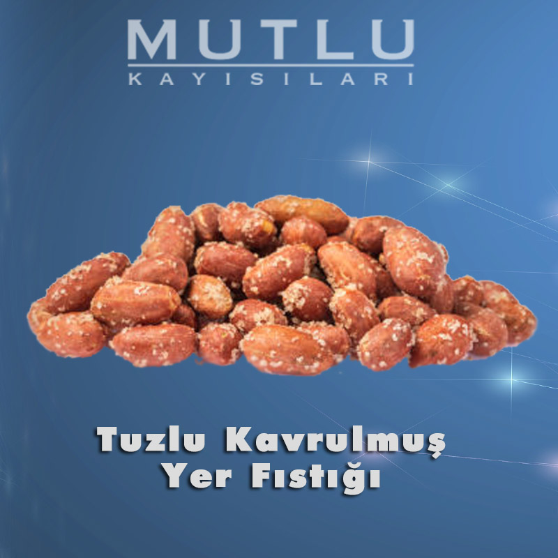 Tuzlu Kavrulmuş Yer Fıstığı Tuzlu Kavrulmuş Yer Fıstığı