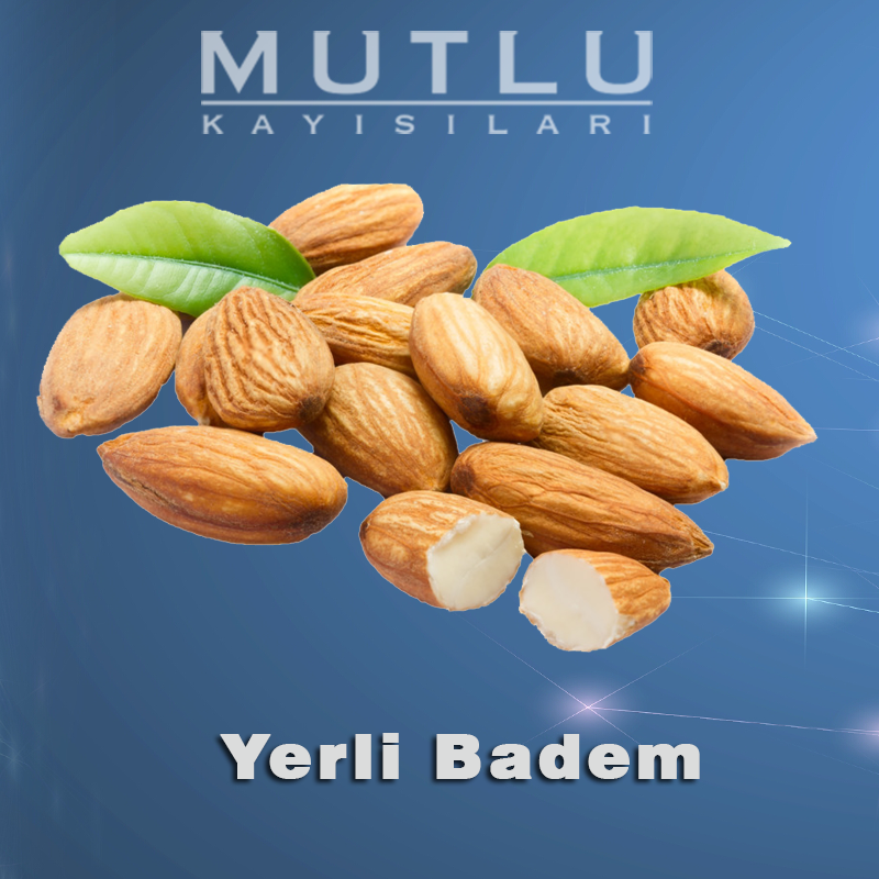 Yerli Badem Yerli Badem
